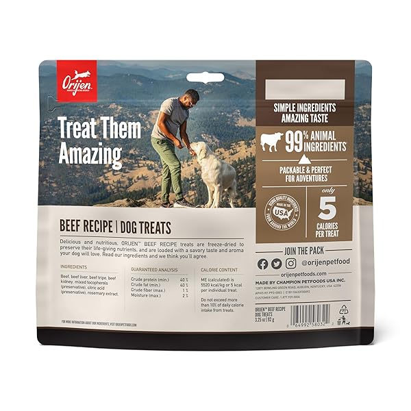 ORIJEN GRAIN FREE HIGH PROTEIN FREEZE DRIED DOG TREATS RANCH-RAISED BEEF RECIPE 3.25OZ BAG