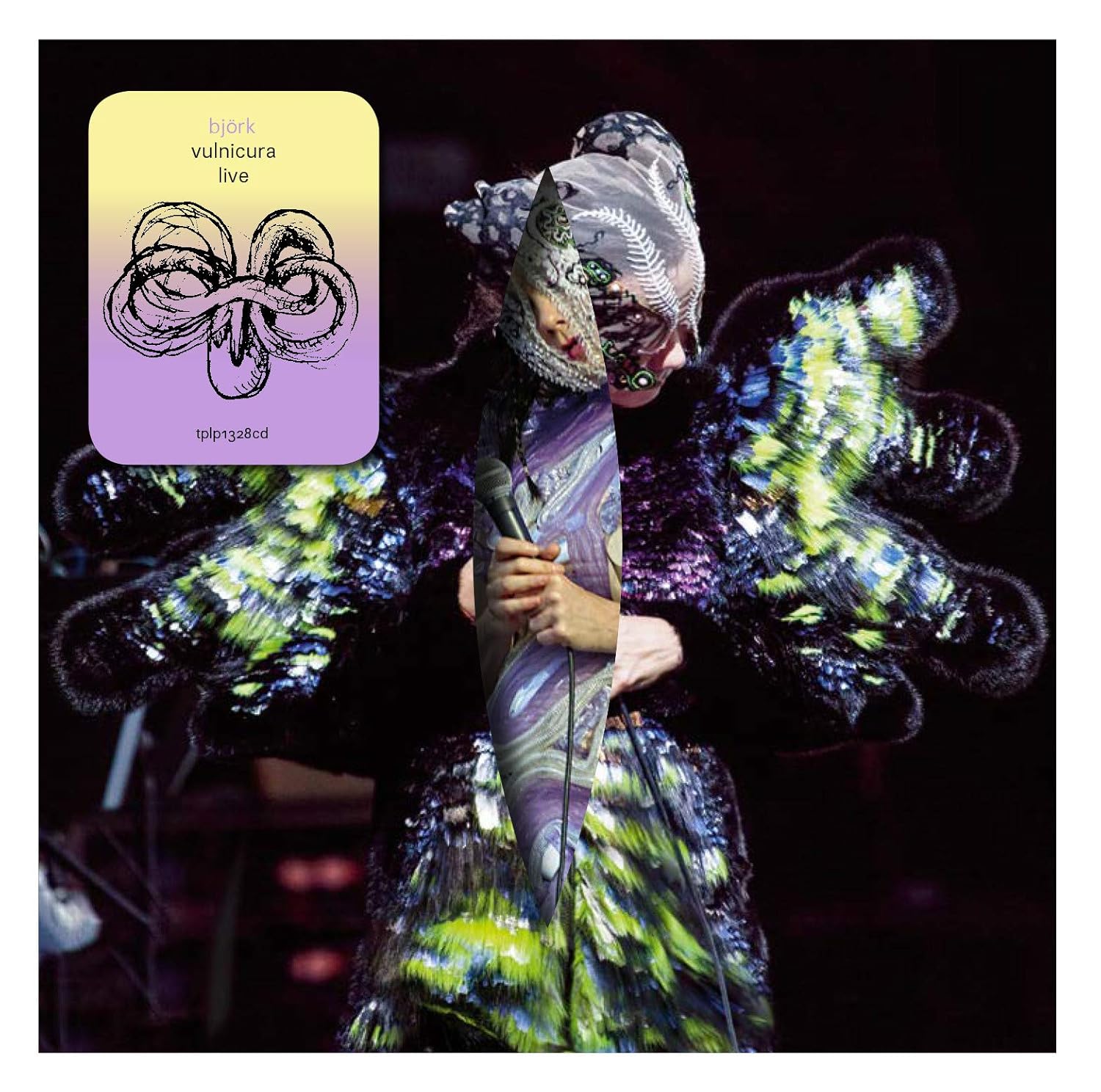 BJORK Vulnicura Music