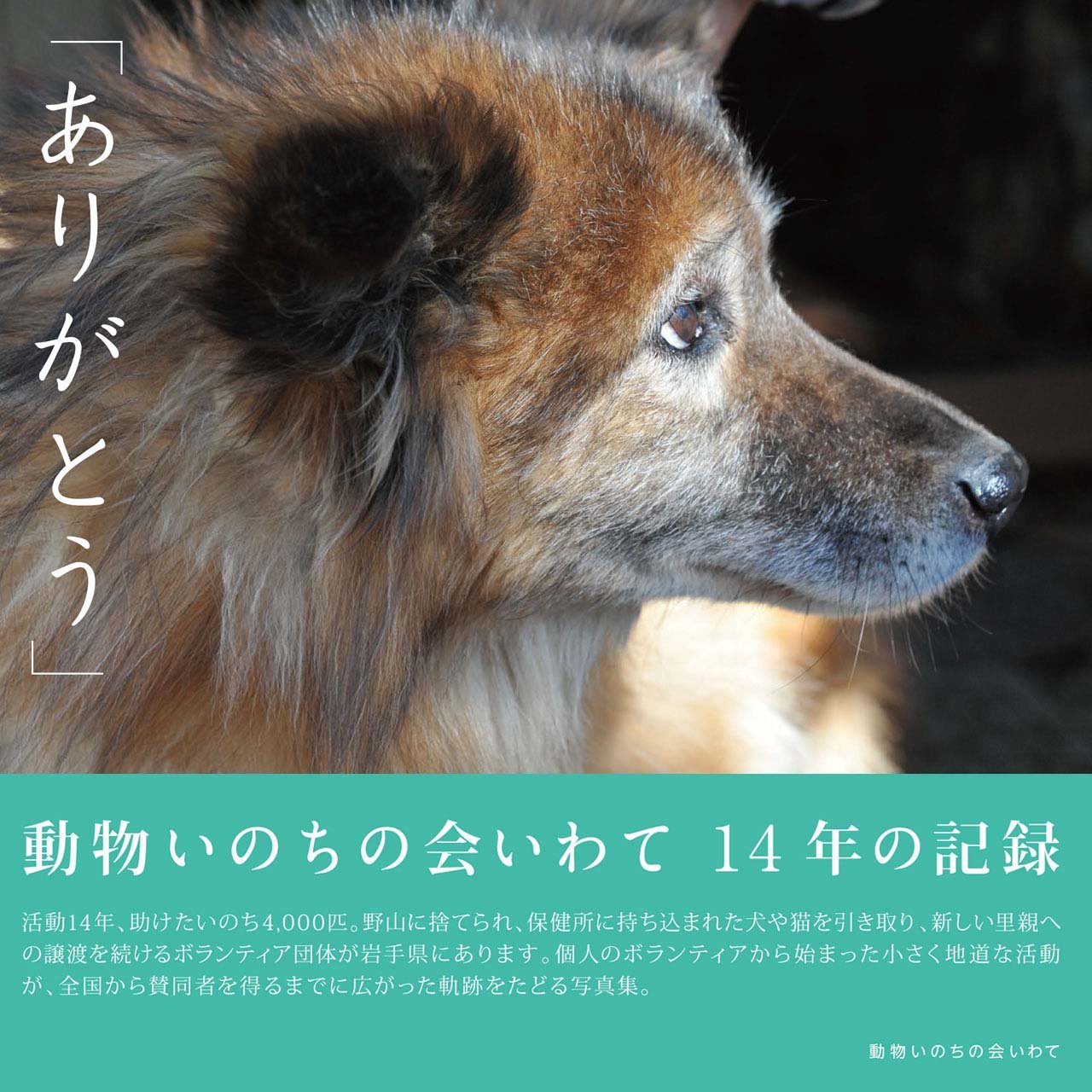 ありがとう 動物いのちの会いわて写真集 動物いのちの会いわて 本 通販 Amazon