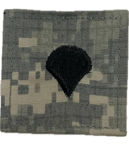 Amazon.com: AAFES Alt. 2 Pieces ACU Name Tape (Sew on or