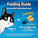 FELIX Joyables Chicken Liquid Cat Treat 4x10g Pack of 11 view 2