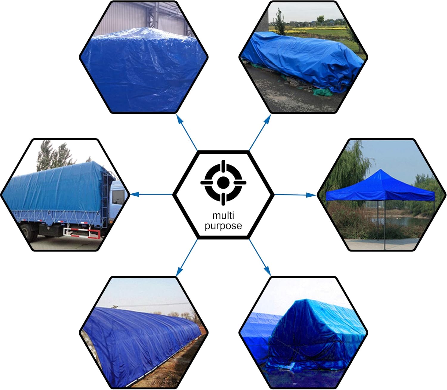 Cartman Poly Tarp Cover 10 x 12 Feet, Multi-Purpose Waterproof, 60GSM Blue: Home Improvement