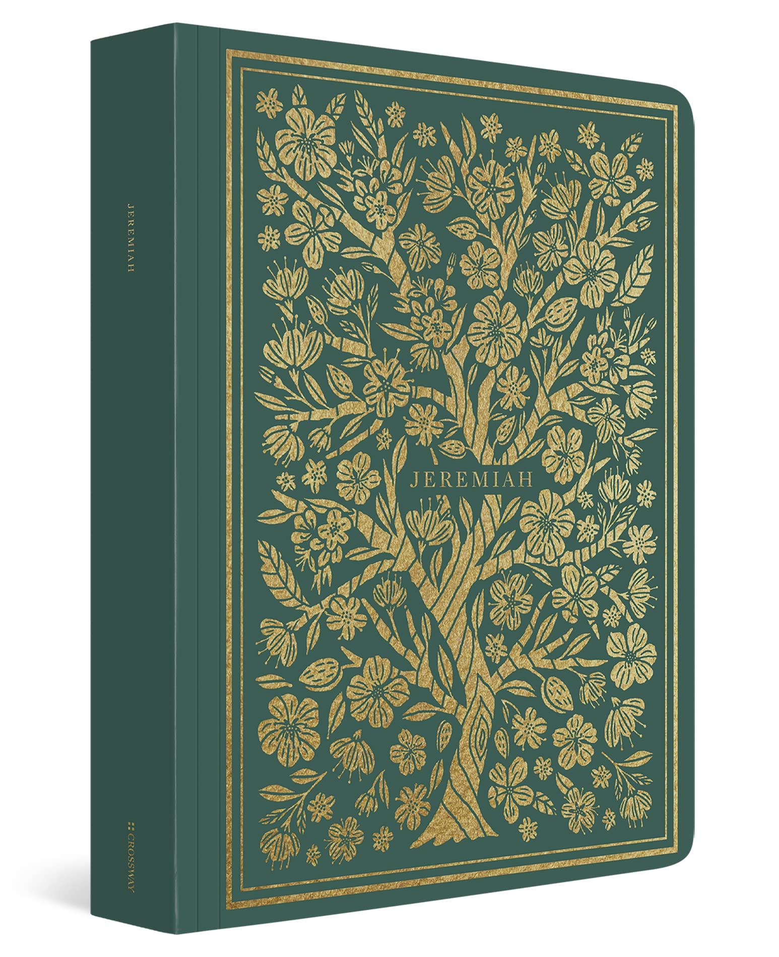 ESV Illuminated Scripture Journal: Jeremiah ESV Illuminated Scripture Journal: Jeremiah Paperback