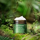 Antipodes Vanilla Pod Hydrating Day Cream 60ml Anti Aging Face Moisturiser view 4