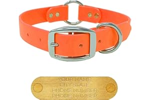 Regal Dog Products Medium Orange Dog Collar with Custom Engraved Name Plate - Custom Fit, Resistant, Easy to Clean Biothane W