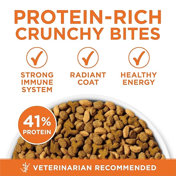 PURINA ONE HIGH PROTEIN, HEALTHY WEIGHT PLUS IDEAL WEIGHT WITH CHICKEN DRY CAT FOOD – 3.5 LB. BAG