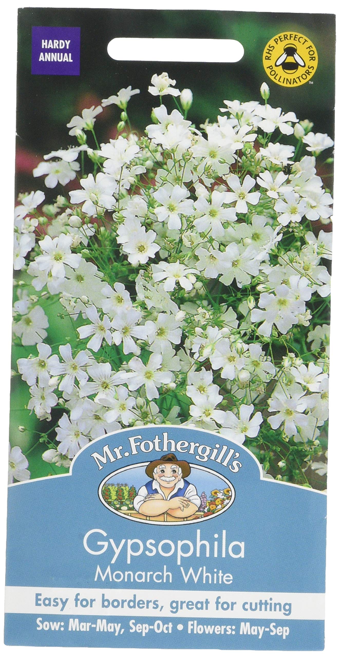 Mr Fothergill's 14442 Flower Seeds, GYPSOPHILA Monarch White
