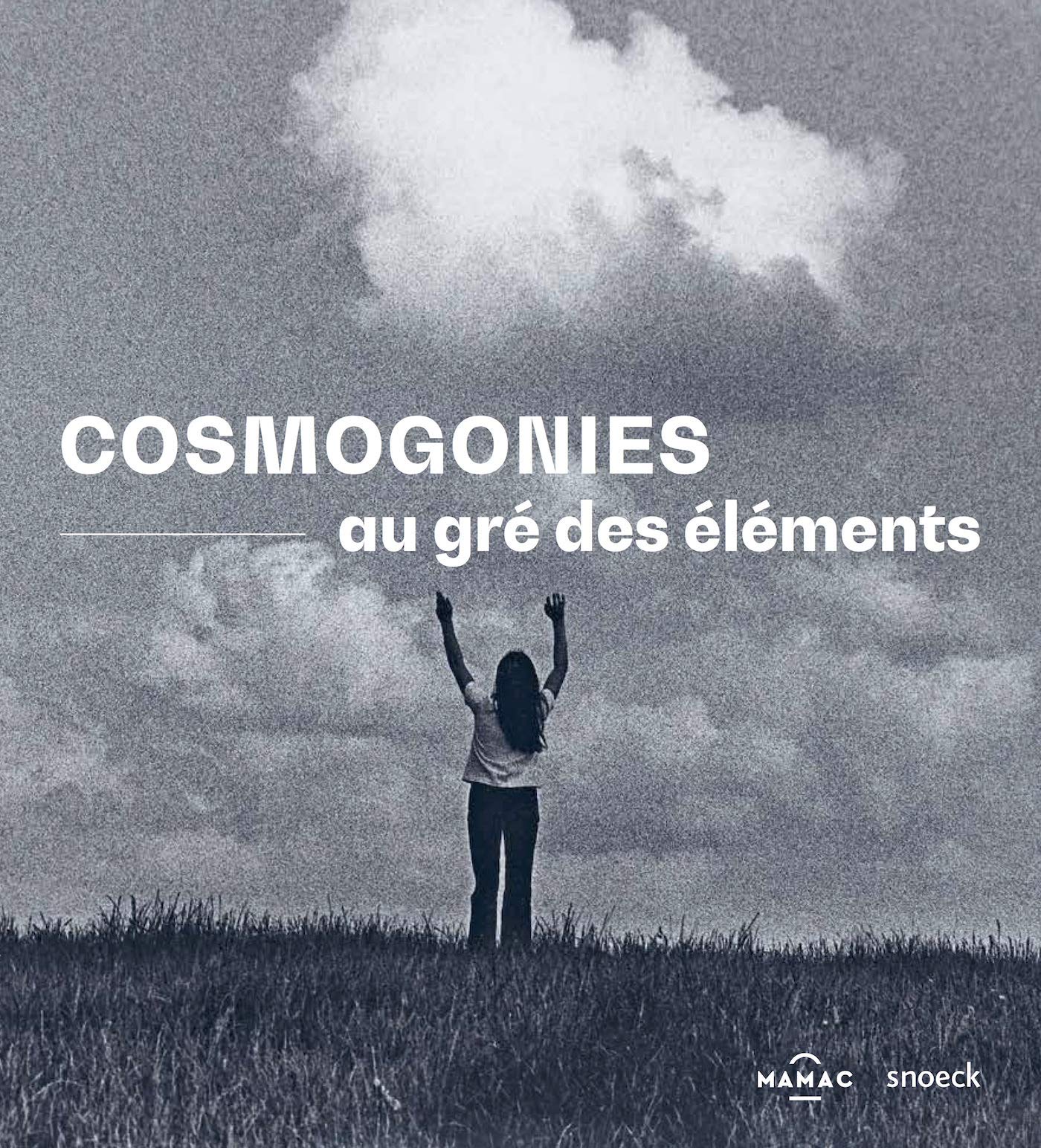 Cosmogonies