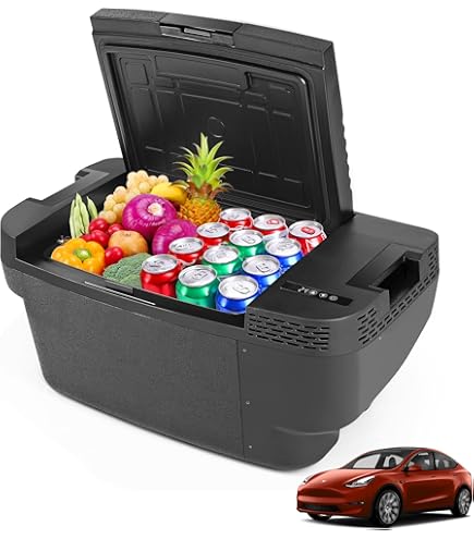 Amazon.com: CHERY INDUSTRIAL.COM Tesla Cooler Car
