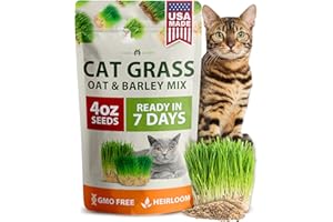 HOME GROWN Cat Grass Seeds 4 oz Oat & Barley Mix – Indoor Cat Grass Refill Kit – Digestive Green Grass for Pets – Heirloom Seeds for Cats’Health & Wellness