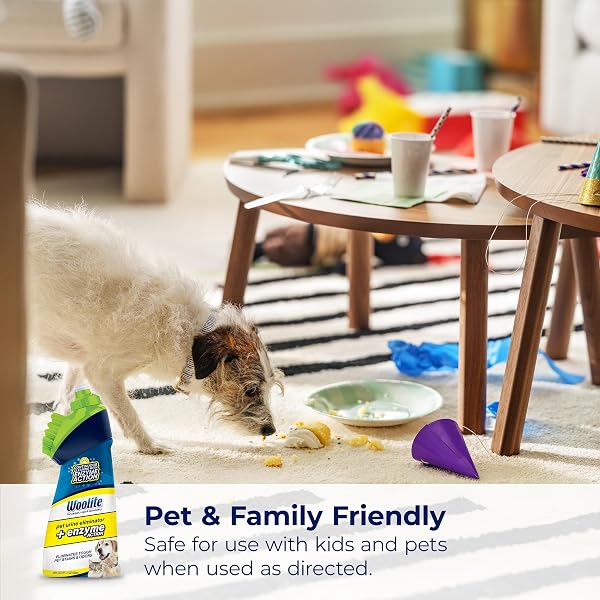 BISSELL WOOLITE PET URINE ELIMINATOR WITH BRUSHHEAD, 4PK, 3773L