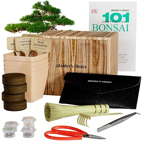 bambus totspritzen ProviPlant Bambus-Dnger: Stickstoffbooster fr Bambus & Grser