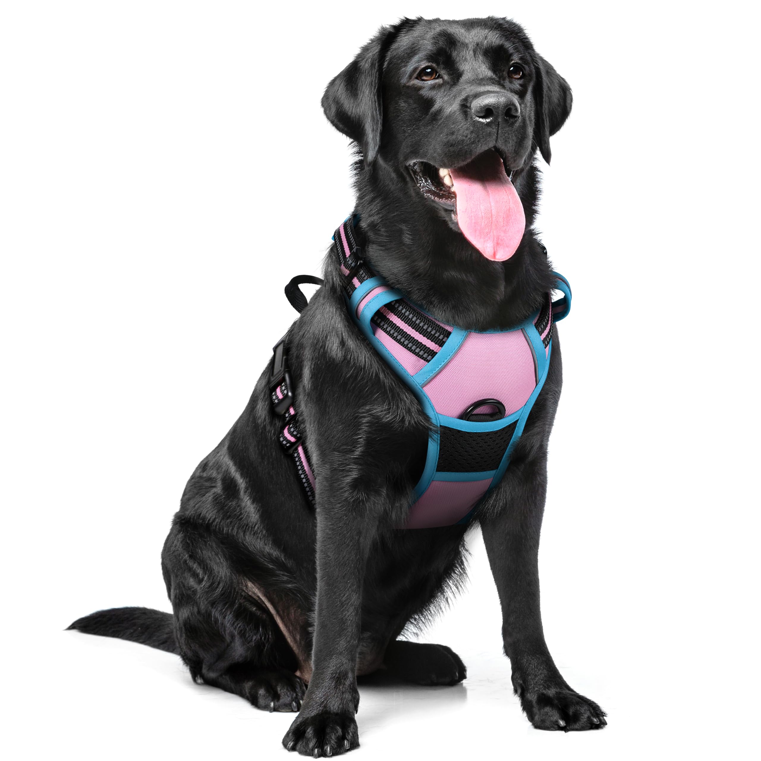 rabbitgoo Dog Harness Large Dog No Pull Pet Harness with 2 Leash Clips, Adjustable Soft Padded Pet Vest, Reflective No-Choke with Easy Control Handle for Training or Walking, Pink Blue XL