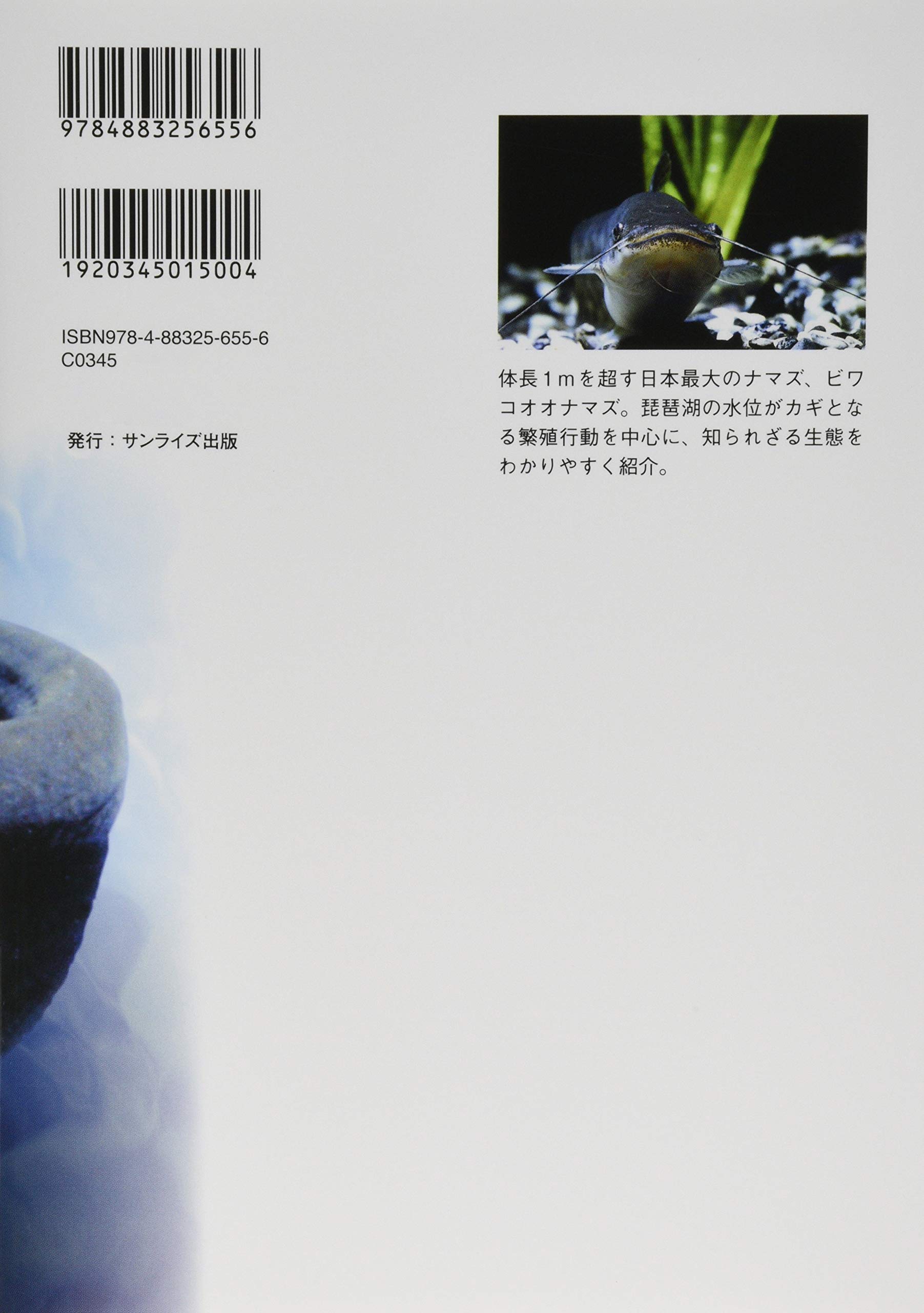 ビワコオオナマズの秘密を探る 琵琶湖博物館ブックレット 前畑政善 本 通販 Amazon