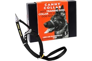 Canny Collar No-Pull Dog Head Collar | Train Your Dog to Stop Pulling & Walk On a Loose Leash | Gentle, Safe, Comfortable Training Aid | Medium/Large Dogs | Black, Size 5