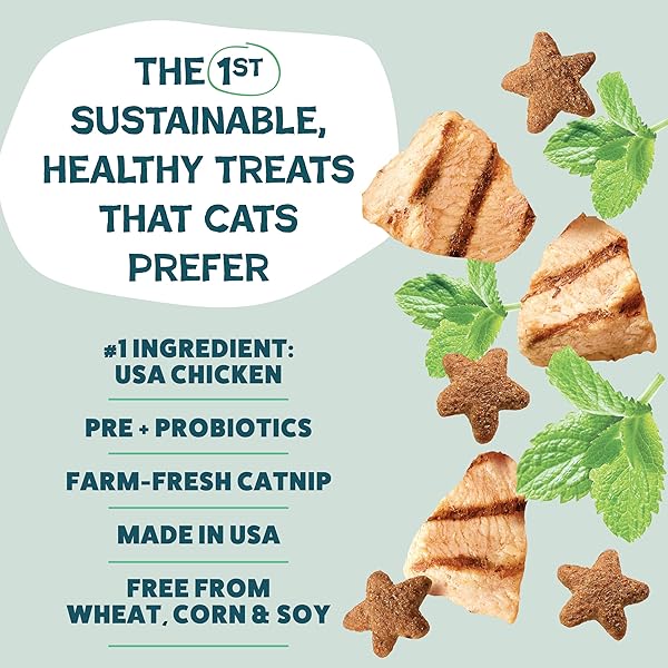 SHAMELESS PETS CRUNCHY CAT TREATS – CATNIP TREATS FOR CATS WITH DIGESTIVE SUPPORT, NATURAL INGREDIENTS KITTEN TREATS WITH REAL CHICKEN, HEALTHY FLAVORED FELINE SNACKS – CATNIP N CHILL, 3-PK