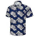 Hawaiian Shirt for Men, Hawaii Short Sleeve Button