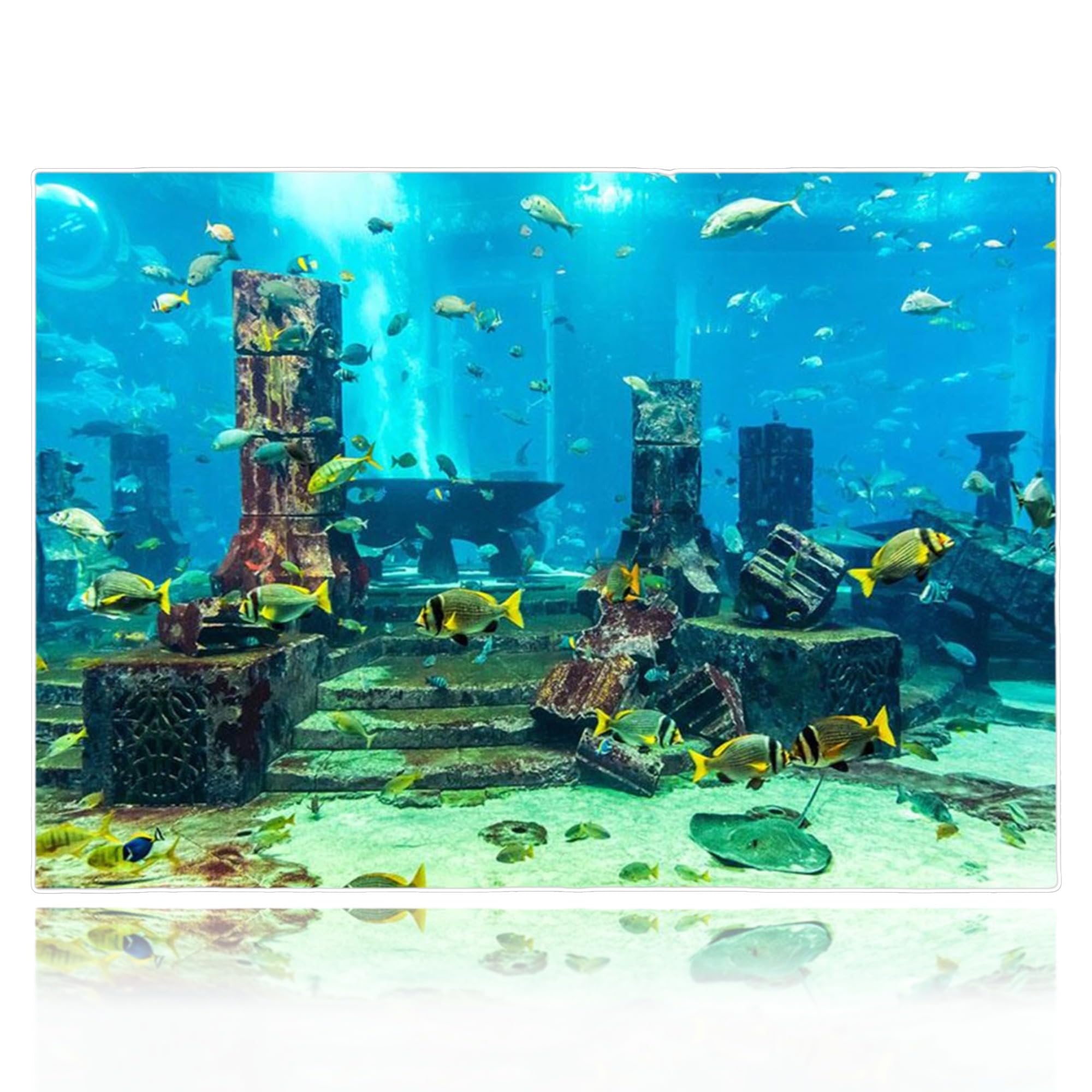 Fish Tank Sticker, Aquarium Background PVC Coral Aquarium Background Underwater Poster Fish Tank Wall Decorations Sticker (61 x 30cm)