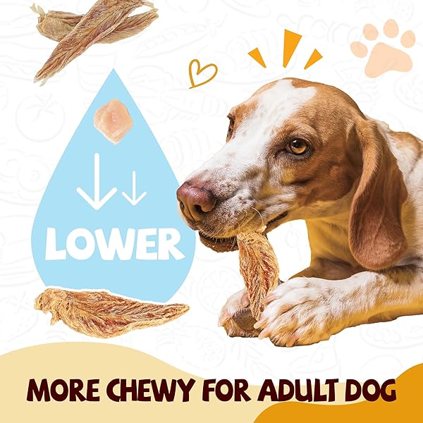 PAWUP CHICKEN JERKY DOG TREATS, LOWER MOISTURE CONTENT, HEALTHY PREMIUM CHEWY DOG JERKY TREATS, 10.6 OZ