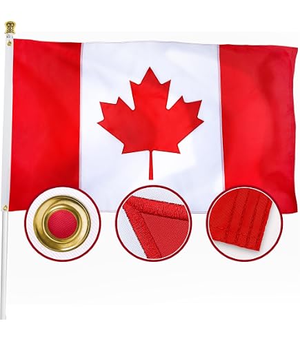Amazon.com : Free France 1940-1944 Flag 18'' x 12'' cords - French
