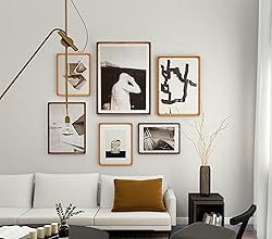 Gdfmsc 18x24 Picture Frame with Mat for
