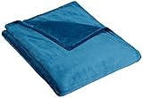 Pinzon Velvet Plush Blanket - Twin, Teal
