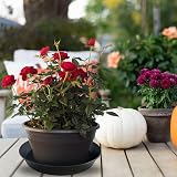 Growcery Plant Pot Saucers 40 cm Heavy Duty Drip Tray 1 Pack view 9