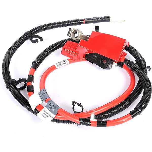 Amazon.com: GM 84355667 Positive Battery Cable : Automotive 