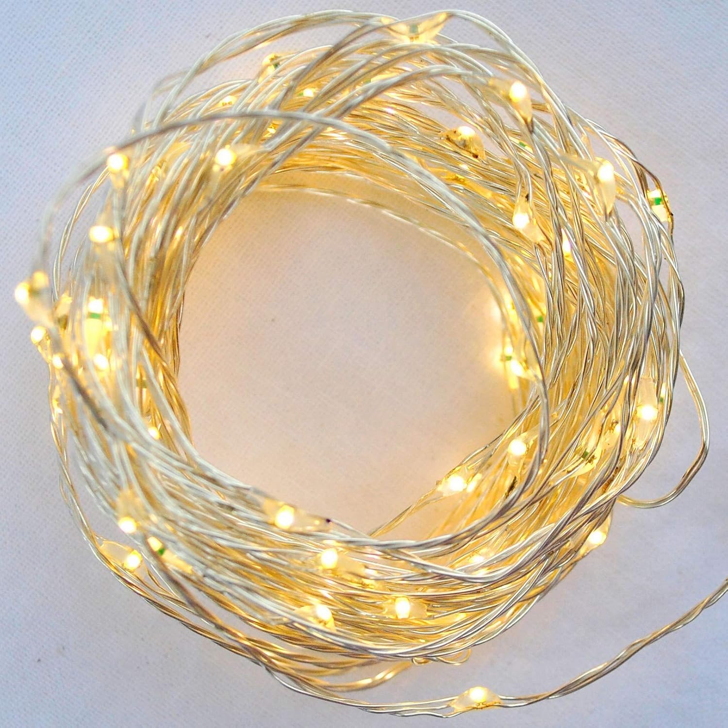 Best Bloom Room Fairy Garden