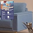 Fldofaves Double Thick Cat Scratch Furniture Protector- 14Pcs Cat Couch Protector with 60 Pins, Clear Anti Scratch Furniture Protector for Couch and Fabric.
