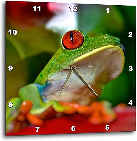 Amazon 3dローズレッドアイツリーフロッグリーフ壁掛け時計 13インチ X 13インチ 置き時計 掛け時計 オンライン通販