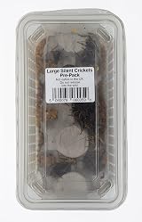 Livefoods4u Large Silent Brown Crickets 15-20mm Approx 50 Tub view 3