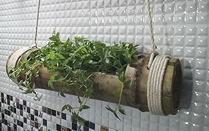 NAOE Bamboo Plant Stand, 22x4 Inches (Green)