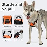 Belababy Dog Harness Small Medium Large No Pull Adjustable Reflective Front view 3