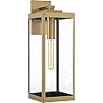 Quoizel Westover Modern Wall Sconce, 20 Inch Antique Brass 1-Light Outdoor Light Fixture, Clear Seeded Glass Wall Lantern, 15