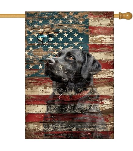 Tesori Di Caroline Bandiera Decorativa Da Esterno - Labrador Retriever Con Bandiera Patriottica, Multicolore, 71x101 Cm - 3