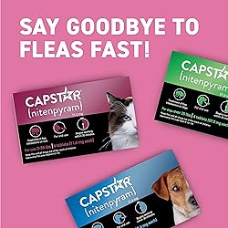 Capstar (nitenpyram) Cat Flea