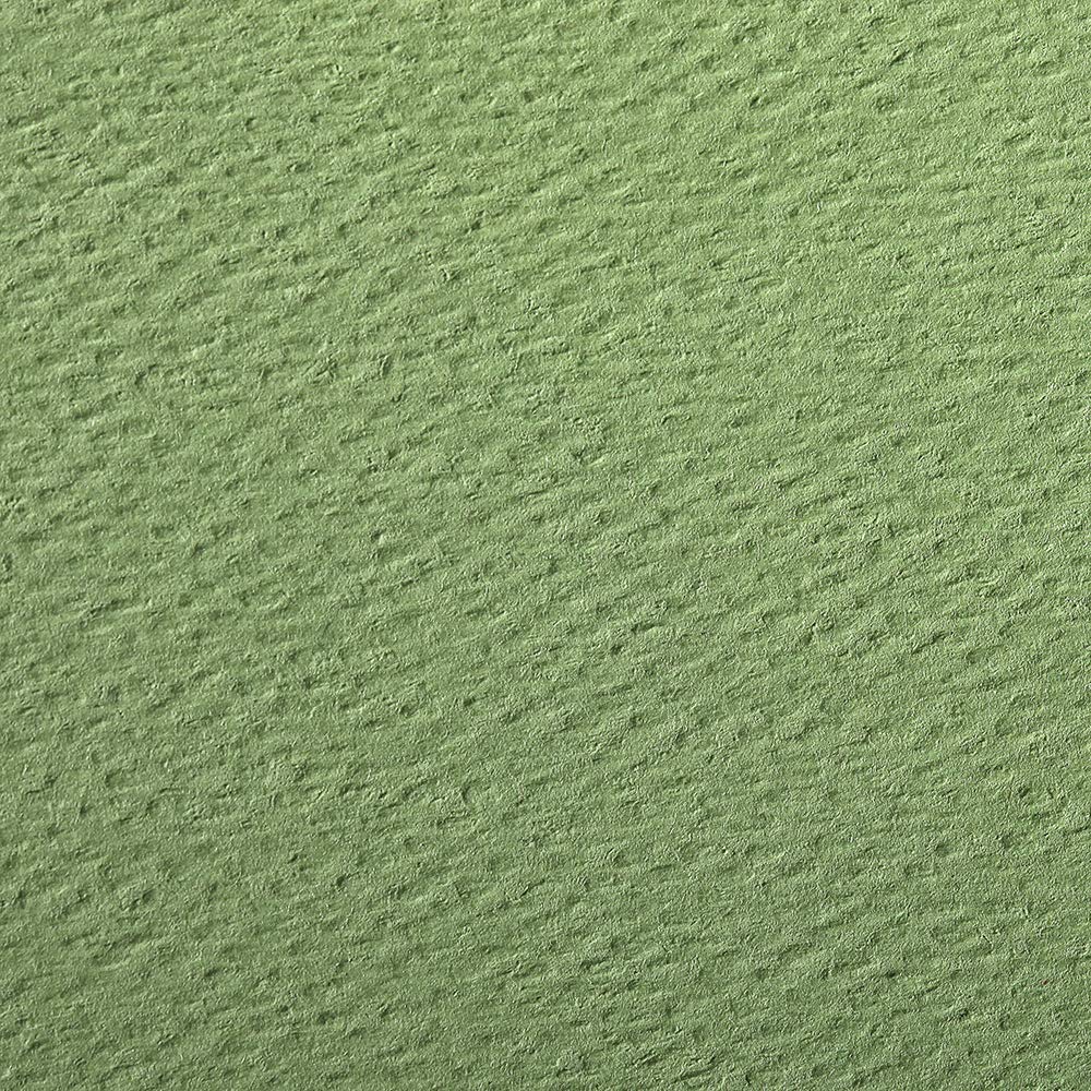 Clairefontaine - Ref 93896C - Etival Coloured Grained Drawing Paper (Pack of s5 Sheets) - A4 (29.7 x 21cm) - 160gsm Cellulose Art Paper - Apple Green - Acid Free, pH Neutral