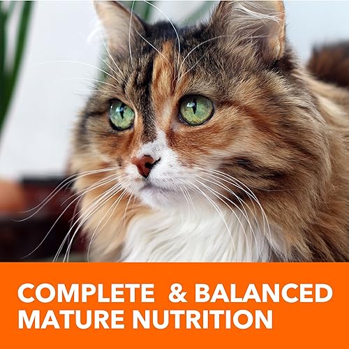 IAMS Proactive Health Healthy Senior Dry Cat Food with Chicken