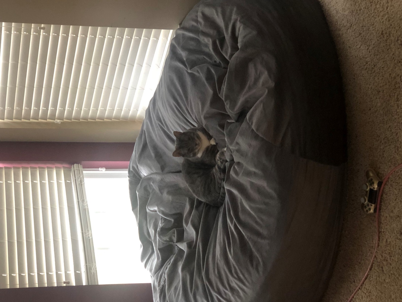 43/mo Finance Cozy Sack 6Feet Bean Bag Chair, Large, Navy Buy Now, Pay Later