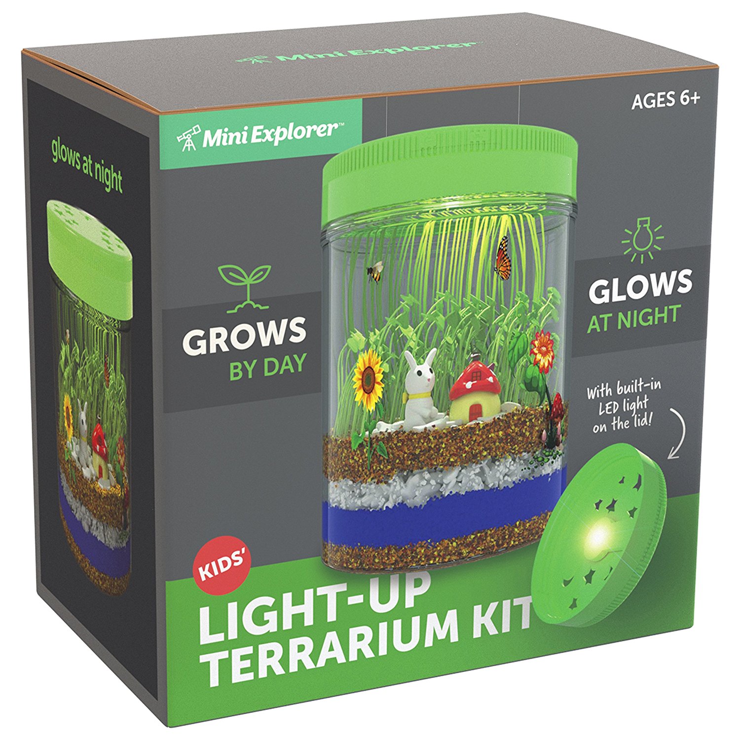 6 Mini+Explorer+Light+up+Terrarium+Customized