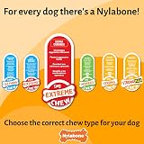 Nylabone Extreme Chewers Broccoli Chew Toy Large - Durable Dental Clean Bacon view 5