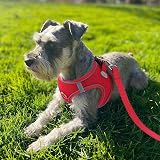 Joytale Step in Dog Harness Soft Mesh Reflective Breathable Vest L Red view 2