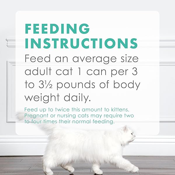 PURINA FANCY FEAST SEAFOOD CLASSIC PATE COLLECTION GRAIN FREE WET CAT FOOD VARIETY PACK – (PACK OF 24) 3 OZ. CANS
