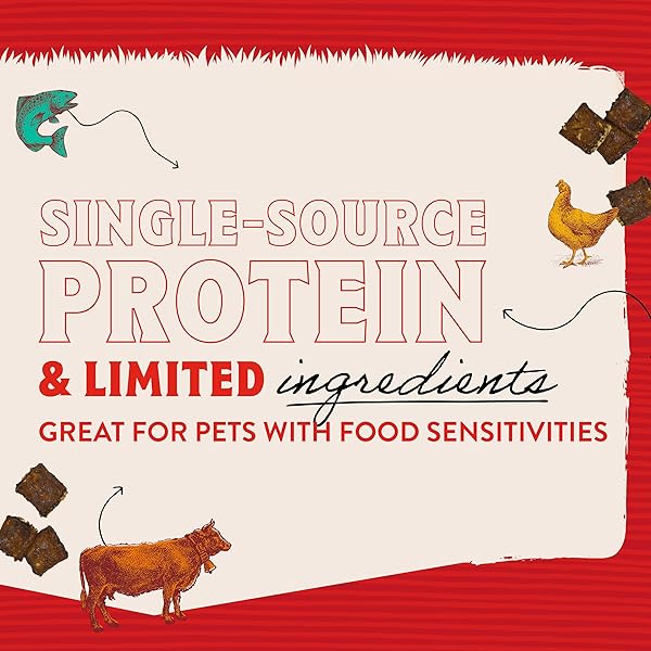 STELLA & CHEWY’S PREMIUM BEEF JERKY DOG TREATS – 95% REAL MEAT BITES FOR SENSITIVE STOMACHS – NATURAL LIMITED INGREDIENT TREATS FOR SMALL AND LARGE DOGS – NO GRAIN, WHEAT OR SOY – 6 OZ BAG
