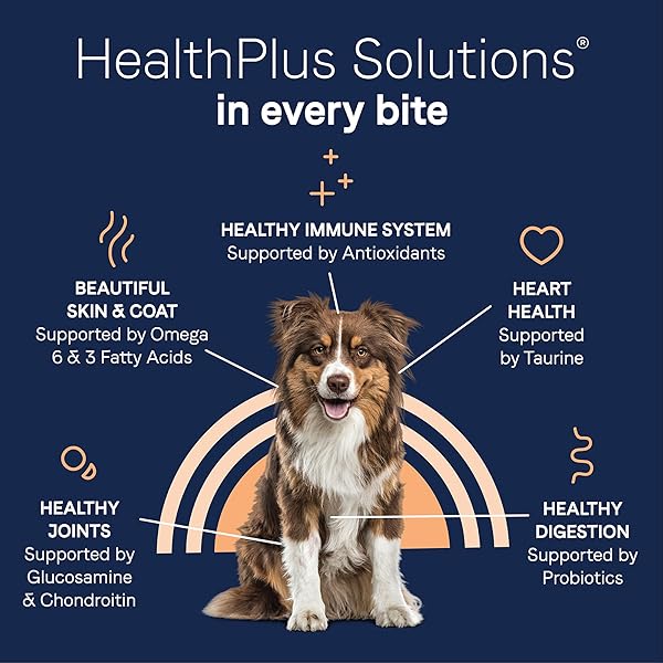 CANIDAE PURE LIMITED INGREDIENT PREMIUM ADULT DRY DOG FOOD, REAL SALMON & BARLEY RECIPE, 4 LBS, WITH WHOLESOME GRAINS
