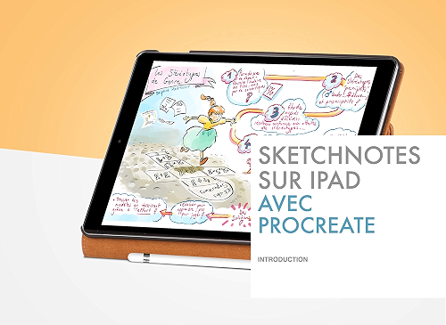 Download Sketchnotes sur Ipad avec Procreate: 1-Les bases PDF