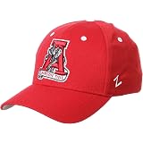 Amazon.com : Hayden Fry Iowa Hat 