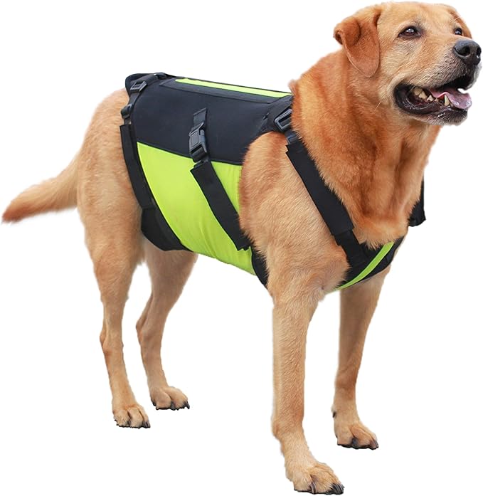 dried tripe sticks for dogs