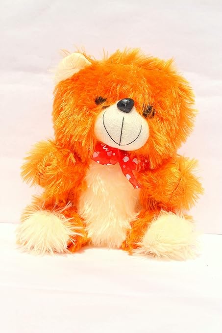 teddy soft toy